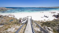 Pulau Rottnest memiliki 63 pantai dan 20 teluk yang patut dikunjungi. Anda harus bertemu dengan quokka, fauna asli Pulau Rottnest yang lucu dan imut (Tourism Western Australia)