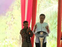 Saat Jokowi Sindir Pemilik Lahan 5 Kali Luas Jakarta