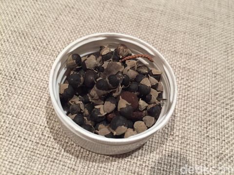 Asam Kandis dan Biji Galundi, Dua Bumbu Unik dari Tanah Minangkabau