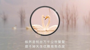 Foto-foto ini diduga kuat sebagai hasil jepretan Huawei P30 dan P30 Pro, walaupun tak ada juga konfirmasi langsung seputar dugaan tersebut. (Foto: Dok. Richard Yu via Weibo)