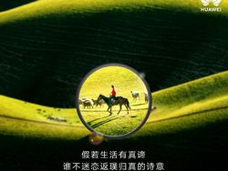 Apakah Ini Hasil Jepretan Kamera Periskop Huawei P30?