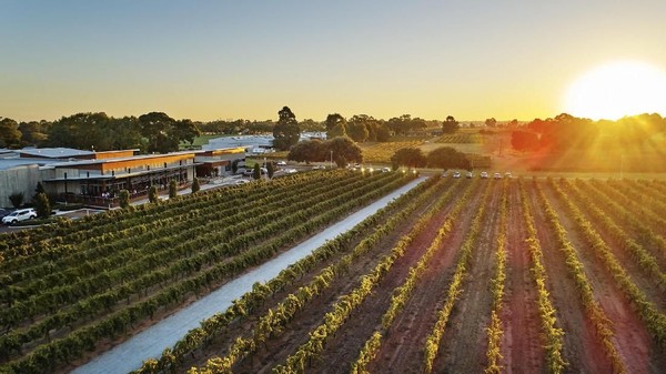 Swan Valley adalah kawasan agrowisata penghasil anggur di Australia Barat, 30 menit dari Perth. Wisatawan bisa mencoba wine, coklat dan madu (Tourism Western Australia)