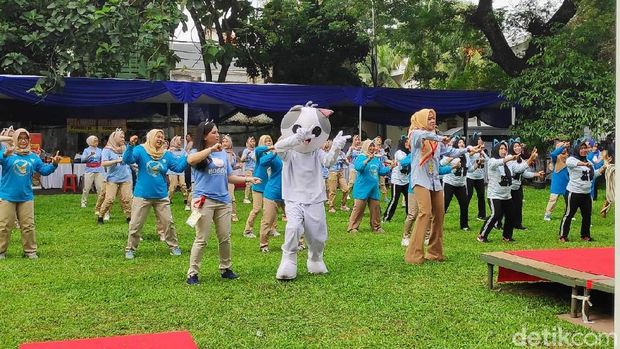 Kala Kucing-kucing Berlomba Mirip Bobby The Cat Milik Prabowo