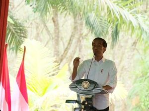 Bertemu Petani Karet di Sumsel, Jokowi Didoakan Terpilih Lagi