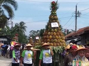19 Gunungan Durian Meriahkan Festival Durian di Candimulyo