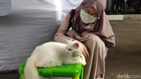 Priscilia menceritakan awal munculnya ide acara ini karena kucing peliharaan Prabowo bernama Bobby yang sempat viral di sosial media. Kala itu Prabowo memberi makan Bobby saat kucing peliharaannya itu mendekat di sela Prabowo menyambut tamu di kediamannya. Selain itu, Priscilia mengatakan selain menunjukkan sisi Prabowo yang cinta hewan, acara ini juga untuk sosialisasikan adopsi kucing liar di Jakarta kepada masyarakat.Foto: (Alfons-detikcom)