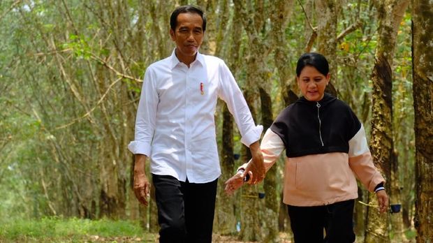  Jokowi bersama Iriana kemudian berjalan menyusuri hutan karet dan berbincang berdua.