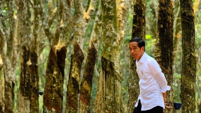 Jokowi Kesal Ekspor dan Investasi RI Loyo