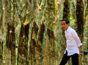 Jokowi Kesal Ekspor dan Investasi RI Loyo