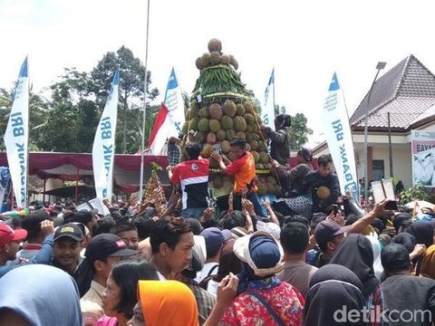 19 Gunungan Durian Meriahkan Festival Durian di Candimulyo