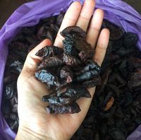 Asam Kandis dan Biji Galundi, Dua Bumbu Unik dari Tanah Minangkabau