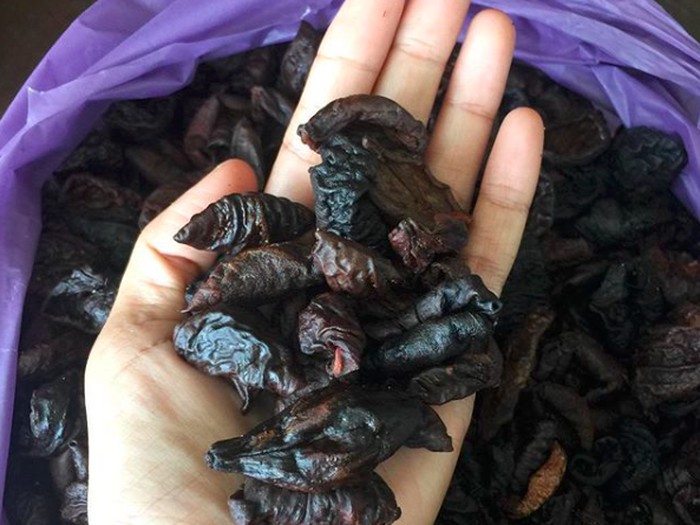 asam kandis dan biji galundi