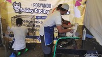 Di luar panggung acara juga ada stand memandikan kucing, stand vaksin, dan stand dokter kucing. Tampak para tamu yang datang tertarik untuk memanjakan kucingnya.Foto: (Alfons-detikcom)