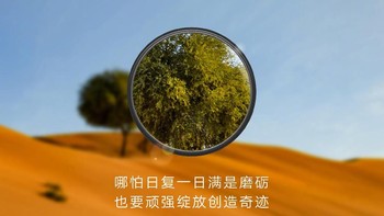 Berkaitan dengan rumor zoom 10x itu pula seluruh rangkaian poster teaser seri Huawei P30 ini seluruhnya menonjolkan hasil pembesaran. (Foto: Dok. Richard Yu via Weibo)