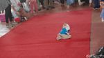 Bikin Gemes, Si Meong Fashion Show Mirip Bobby The Cat Milik Prabowo