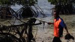Aksi Petugas Bersihkan Sampah di Pulau Karya