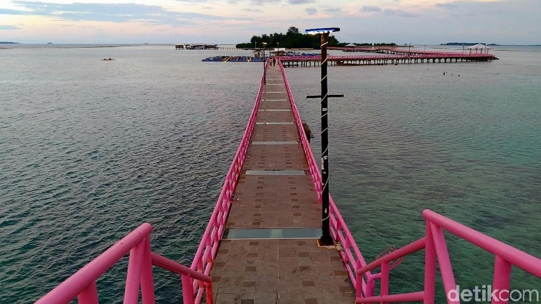 Pariwisata Jadi Unggulan, Nelayan Kepulauan Seribu Didorong Alih Profesi Pariwisata Jadi Unggulan, Nelayan Kepulauan Seribu Didorong Alih Profesi