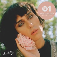 Beberapa waktu lalu Teddy akhirnya kembali menelurkan album lewat LillyAnna. Ia pun menjadi salah satu dari tiga transgender wanita yang dinominasikan di Grammy 2019. Foto: Instagram @teddygeiger