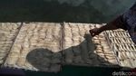 Melihat Pembuatan Kerupuk Ikan di Pulau Harapan