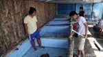 Melihat Penangkaran Penyu di Pulau Harapan