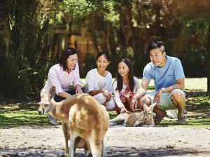 Hewan dan Bunga Khas Australia Barat, Serta Tempat Untuk Melihatnya
