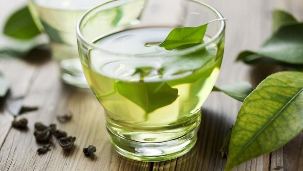 Ilustrasi Teh Hijau Ilustrasi Teh Hijau