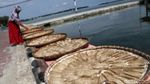 Melihat Pembuatan Kerupuk Ikan di Pulau Harapan