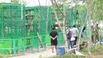 Foto: Bekas Tambang Disulap Jadi Tempat Wisata di Bangka