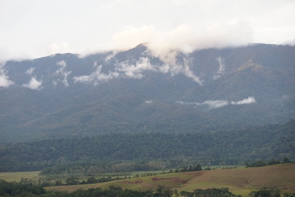 Dari atas bukit ini, terlihat barisan pegunungan Kebar yang malu-malu ditutup awan. (Bonauli/detikcom)