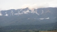 Dari atas bukit ini, terlihat barisan pegunungan Kebar yang malu-malu ditutup awan. (Bonauli/detikcom)