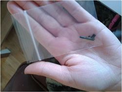 Miris tapi Kocak, Ini Belanja Online yang Tak Sesuai Harapan