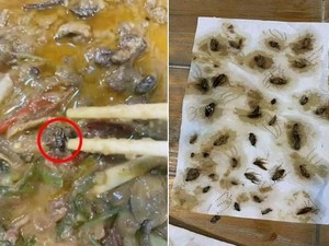 Hii..! Wanita Ini Temukan 40 Bangkai Kecoak Dalam Bebek Pesanannnya