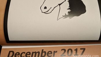 Tertarik beli kalender dengan gambar keren Unicorn, begitu sampai jadi kesal. (Foto: Boredpanda)