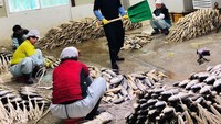 Beginilah aksi Seungri saat berada di pasar ikan. Sepertinya dirinya sedang melakukan syuting. Foto: Instagram @seungriseyo