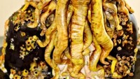 Pandangan mata dari kue yang satu ini, semakin lama terlihat semakin seram! Foto: Boredpanda