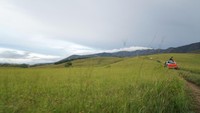 Bukit Sontiri berada di Distrik Kebar, 3 jam dari Manokwari. Dari Distrik Kebar, bukit ini bisa ditempuh selama 30 menit. Medan yang dilalui tidak mudah (Bonauli/detikcom)