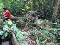 Saksi Bisu Perang Dunia II di Tengah Hutan Papua