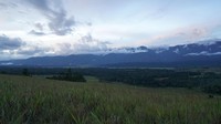 Yuk, jelajahi Bukit Sontiri di Kabupaten Tambrauw. Gratis! (Bonauli/detikcom)