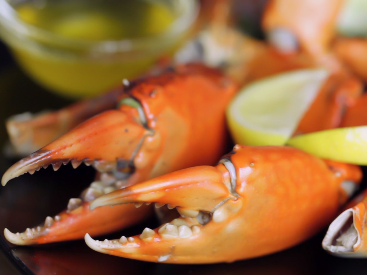 pertengkaran karena kaki kepiting