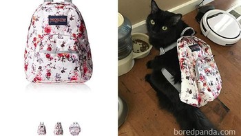 Beli tas ransel di Amazon ternyata ukurannya malah untuk ukuran badan kucing. (Foto: Boredpanda)