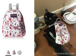 Miris tapi Kocak, Ini Belanja Online yang Tak Sesuai Harapan