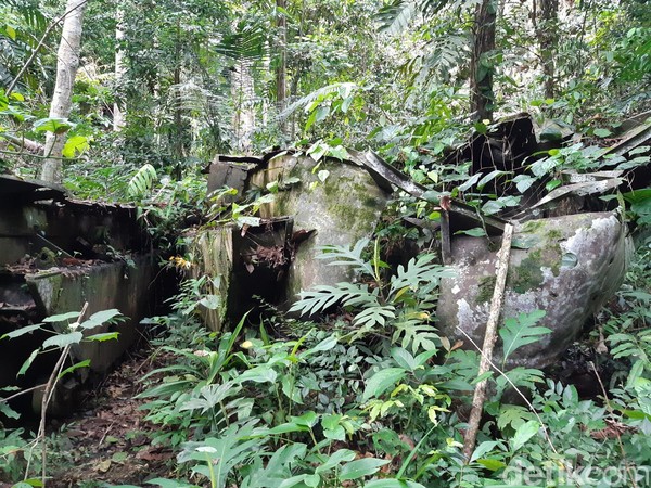 Juga berjarak 50 meter ke dalam hutan, spot kedua memiliki 4 tank yang ditutupi oleh tumbuhan. (Bonauli/detikcom)
