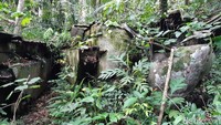 Juga berjarak 50 meter ke dalam hutan, spot kedua memiliki 4 tank yang ditutupi oleh tumbuhan. (Bonauli/detikcom)