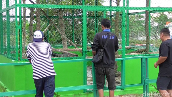 Banyak wisatawan datang karena penasaran. Kampung Reklamasi Aik Jangkang ini pun cukup menarik dikunjungi, meski belum sepenuhnya rampung. (Deni Wahyono/detikTravel)