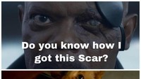 Banyak meme yang beredar di dunia maya soal Goose, salah satunya soal Nick Fury. Dok. Ist