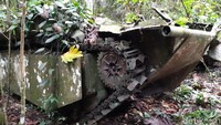 Kini hanya ada 3 titik di Hutan Bikar yang tersisa. Untuk sampai di sini, wisatawan bisa berkendara dari Sausapor selama 40 menit. (Bonauli/detikcom)