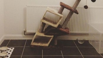 Jangan pernah membeli pohon kucing di Amazon tulis pembeli dengan kesal. (Foto: Boredpanda)e