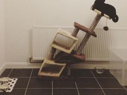 Miris tapi Kocak, Ini Belanja Online yang Tak Sesuai Harapan