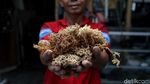 Melihat Ragam Pernak-pernik Souvenir Pulau Harapan