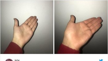 Pembeli membeli anting di AlieExpress namun belum juga tiba, tapi oleh penjual diminta untuk menunjukkan foto bukti bahwa barang tersebut belum dikirim. Yap, jadi seperti ini lah fotonya. (Foto: Boredpanda)